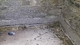acastle
                          108985.jpg